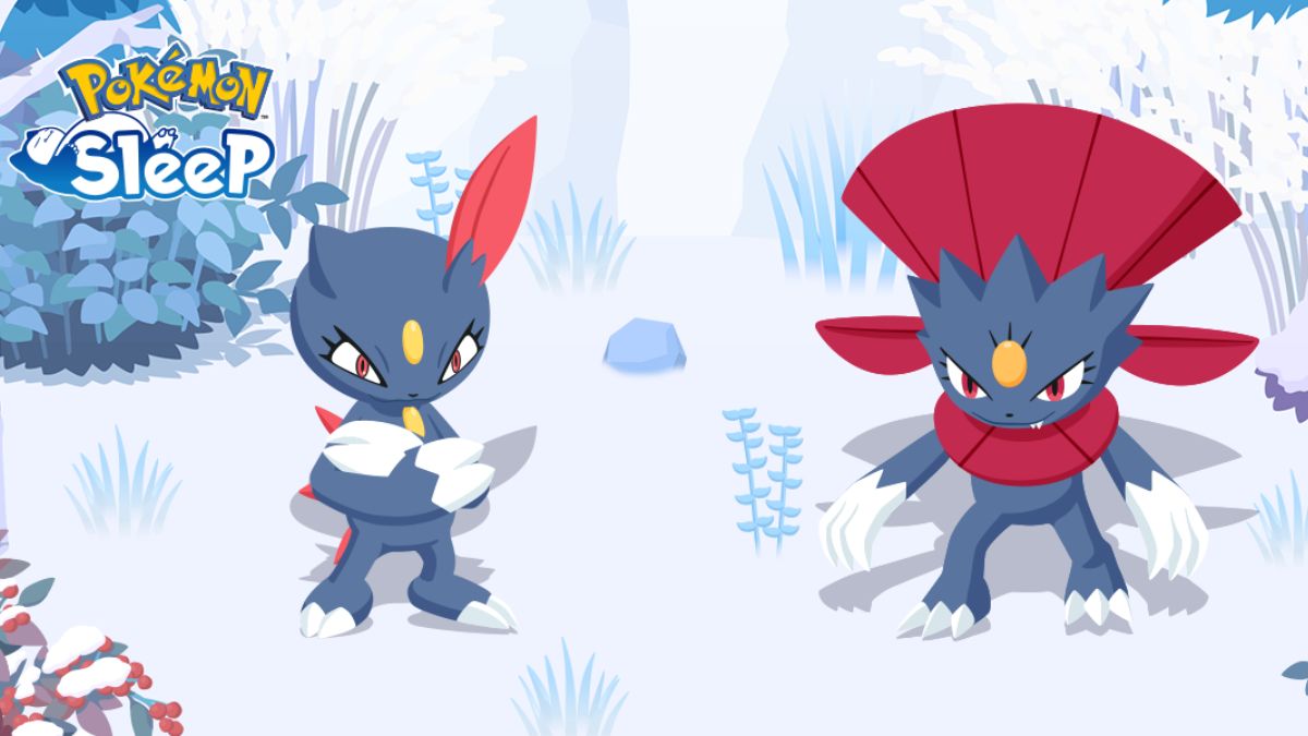 Como conseguir Sneasel e Weavile no Pokémon Sleep