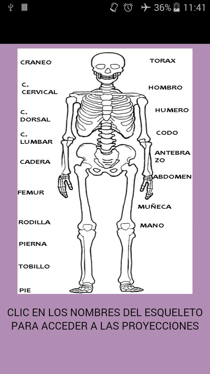 Manual radiologia 2