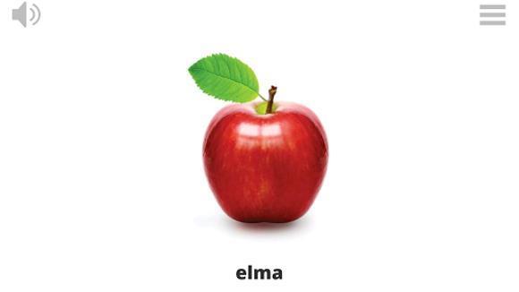 Lyrebird: Learn TURKISH