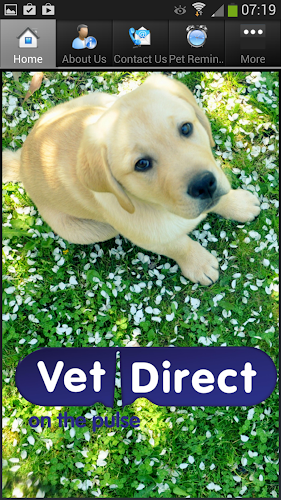 Vet Direct Pet Care Newcastle